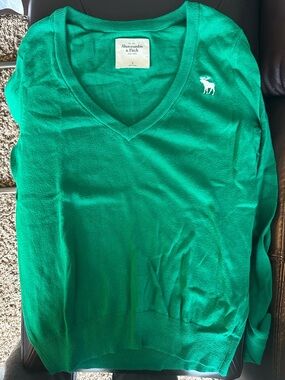 Abercrombie & Fitch Women’s V-Neck Sweater in Bright Green with White Moose